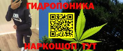 крисы Мариинск